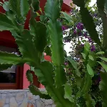 Balaska