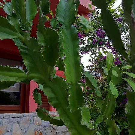 Balaska