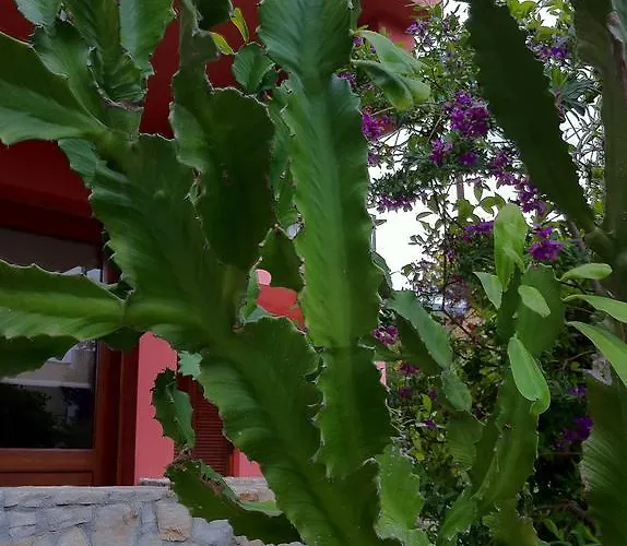 Balaska